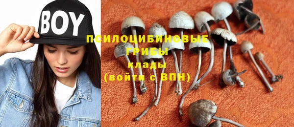 кристаллы Пионерский