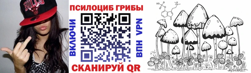 магазин наркотиков Сочи Псилоцибиновые грибы прущие грибы