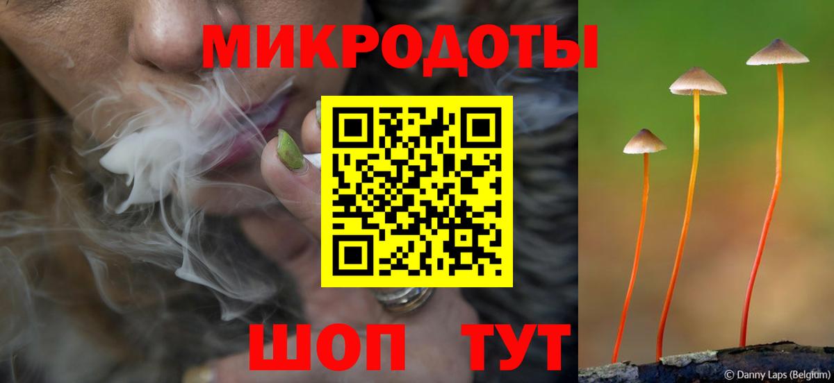 Сочи  Галлюциногенные грибы прущие грибы  Вход с VPN 