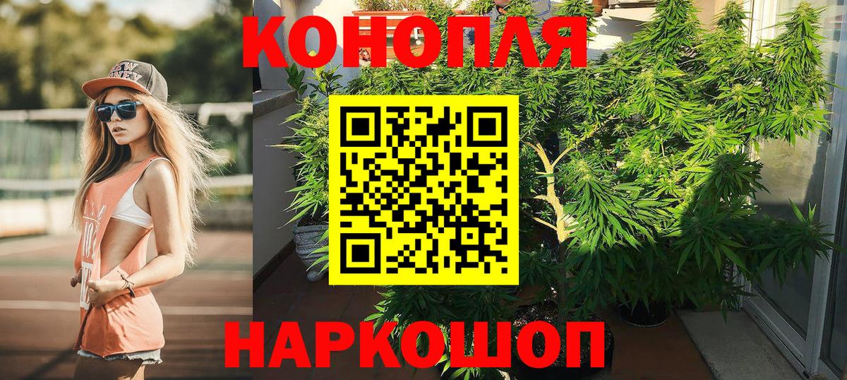 МАРИХУАНА ГИДРОПОН  Каннабис план  Канабис SATIVA & INDICA  Сочи  Вход с VPN 